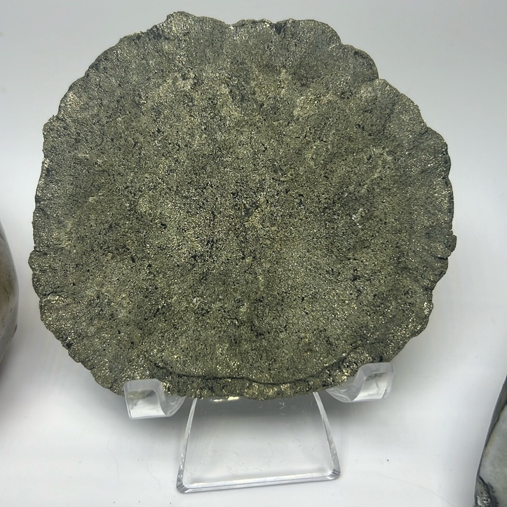 Pyrite Sun from Sparta Illinois